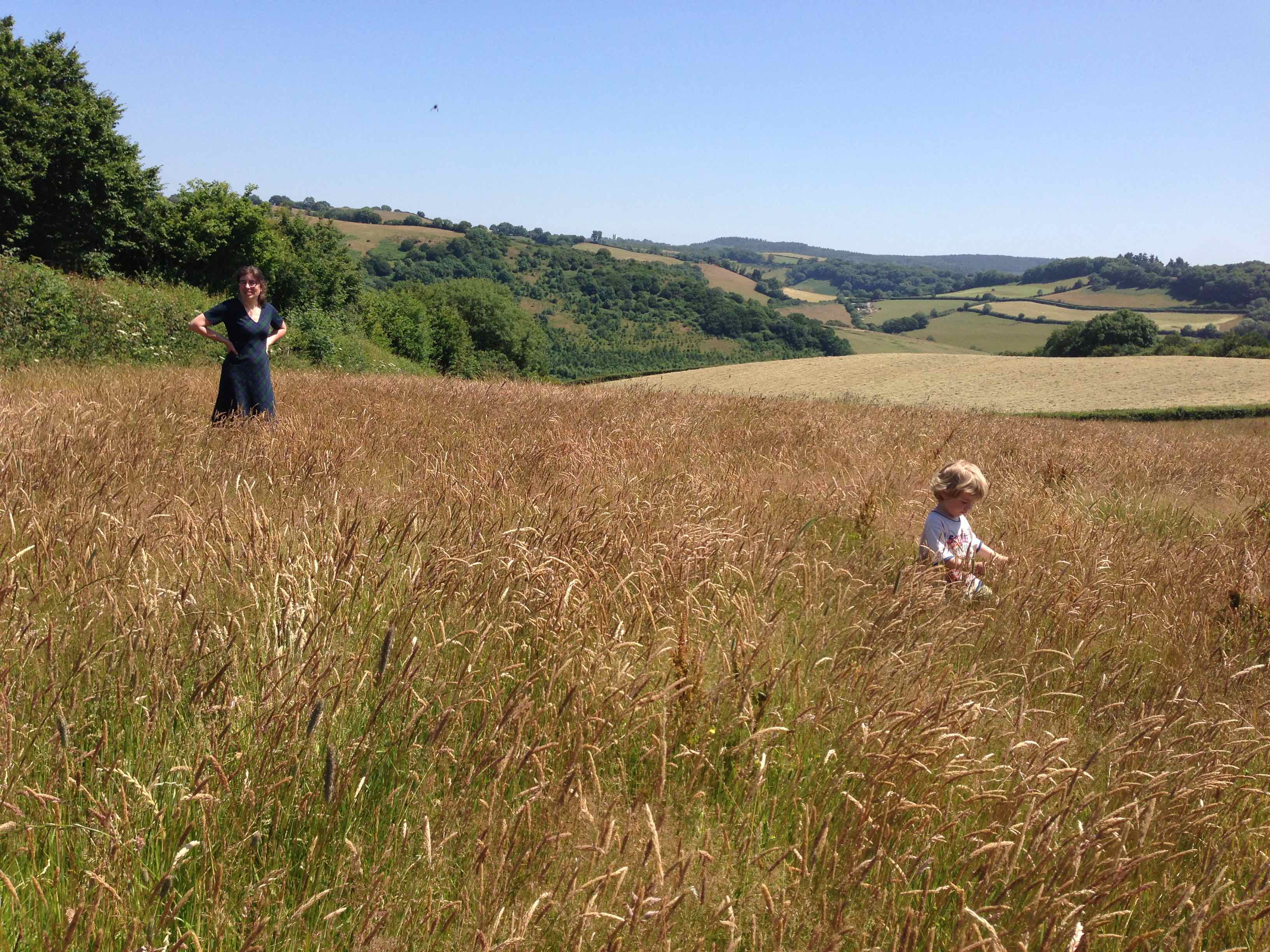 A Field In England